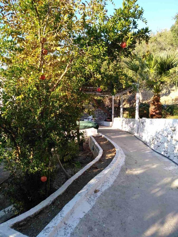 House With Beautiful Garden In Plomari Apartment Exterior photo